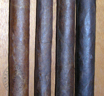 maduro shades200x185